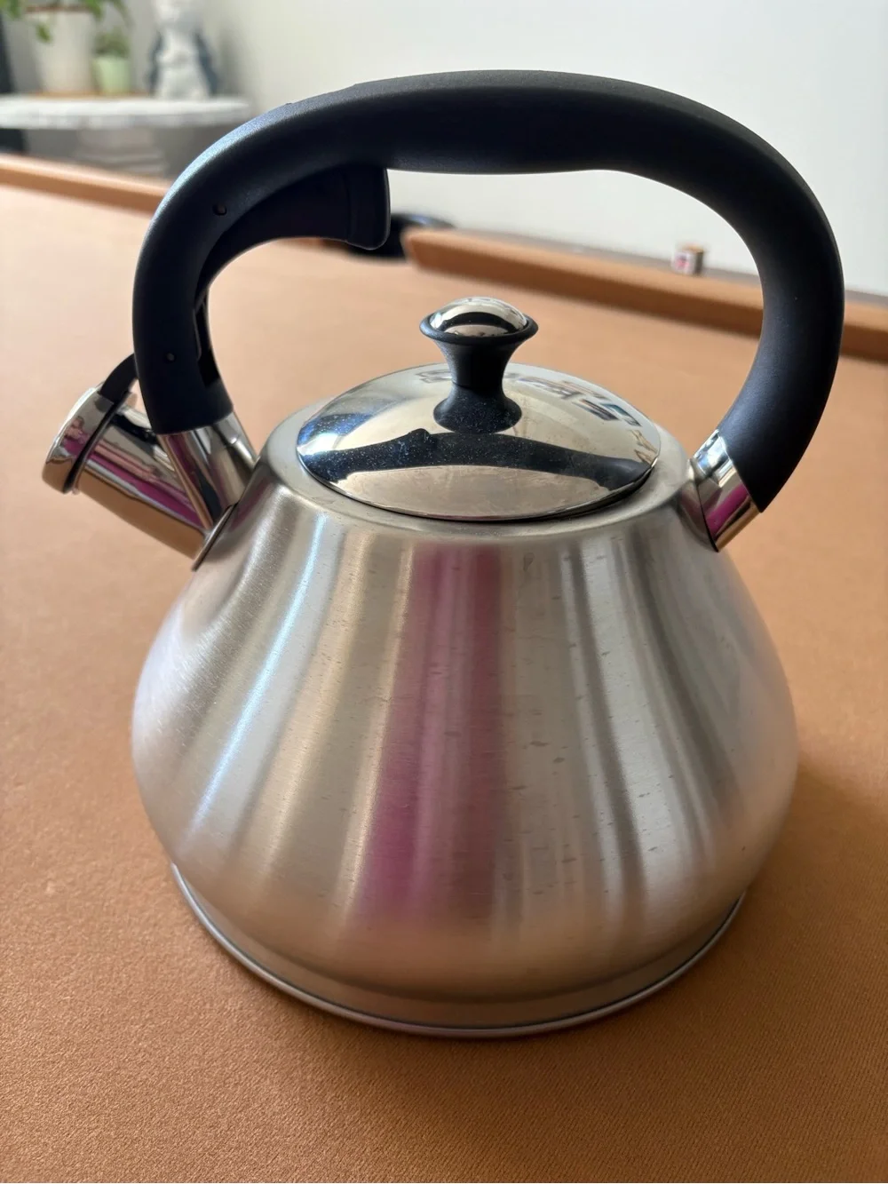 Lepicure Stainless Steel Whistling Tea Kettle with Black Handle